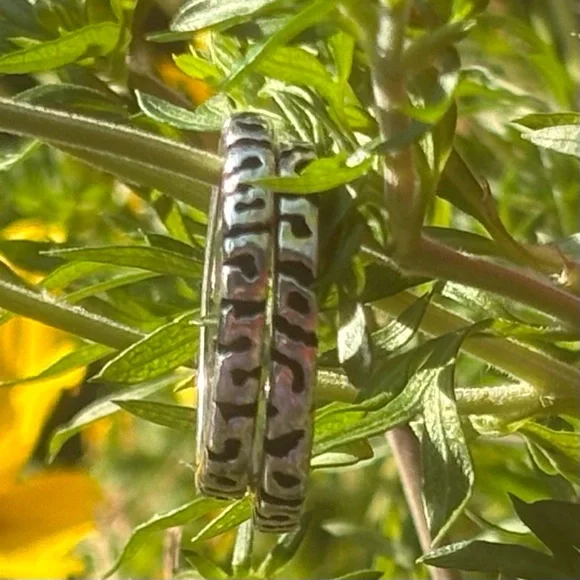Intricate Silver Women's Rings - Picture 5 of 5